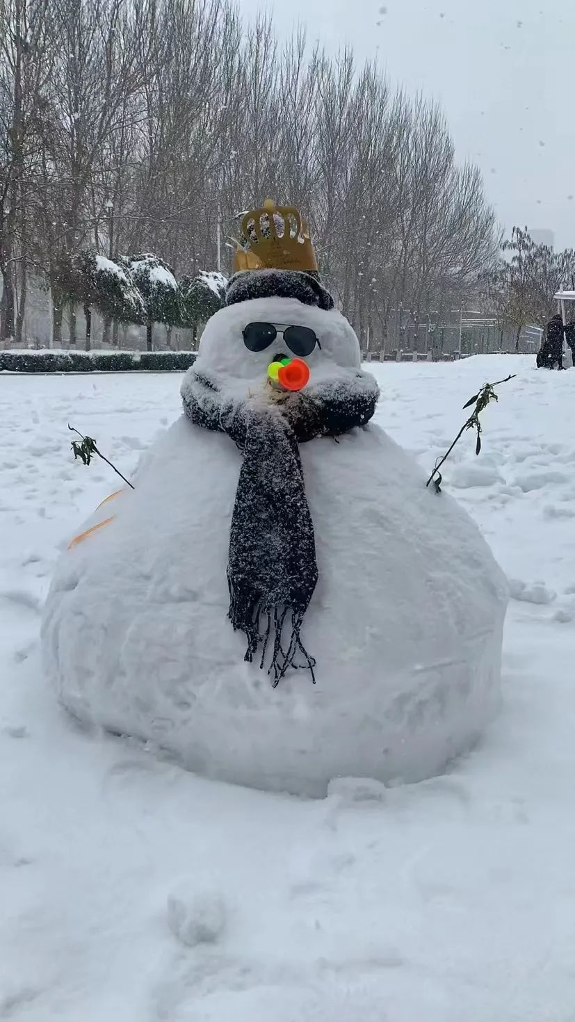 校园服务-雪地攻坚，有你有我